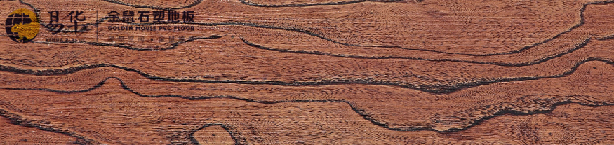 金鼠PVC地板木纹WD852